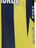 Fenerbahçe Puma A Team 2024/2025 Çubuklu Home Jersey L Produktbild-Vorschau 5