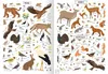 Naturforscher-Kids - Stickerheft Heimische Tierwelt Produktbild-Vorschau 6