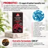 Dr.OHHIRA® Deluxe Probiotici – 100 miliardi di UFC (Unità Anteprima dell’immagine prodotto 3