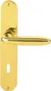A brass door handle set on a white background. Podgląd zdjęcia produktu