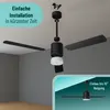 Noaton® 14132BBD Canis, nero e marrone scuro, ventilatore Anteprima dell’immagine prodotto 7