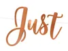 Banner Girlande Hochzeit, Motive:Just Married / rosegold Produktbild-Vorschau 3