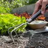 Schicker Mineral-Diabas Urgesteinsmehl fein 10 kg Produktbild-Vorschau 9