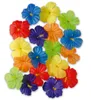 18 Hibiskus-Blüten bunt Produktbild-Vorschau 1