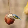 Noce di cocco ripiena Anteprima dell’immagine prodotto 5
