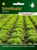 Schnittsalat Lollo Bionda (Saatband) | Salatsamen von N.L. Produktbild-Vorschau 4