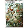A puzzle box featuring a detailed illustration of numerous hummingbirds in flight amidst foliage. Náhled obrázku produktu
