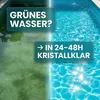 INOX® Pool Booster, 5L - Pooldesinfektion Poolreiniger Produktbild-Vorschau 3