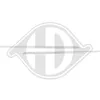 DIEDERICHS Blende Kühlergitter 4406243 oben für RENAULT Produktbild-Vorschau 3