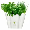 Three white planters filled with fresh herbs, including parsley, basil, and chives, are arranged together against a white background. Náhled obrázku produktu