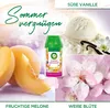 Air Wick Freshmatic Max Nachfüller 2x Sommervergnügen 250ml Produktbild-Vorschau 2