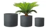 Scheurich Panzano 50, Pflanzgefäß/Blumentopf/Pflanzkübel, Produktbild-Vorschau 6