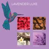 Duftkerze Frida Kahlo - Graceful Moments, Full Moon 3er Set Produktbild-Vorschau 3