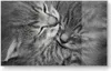 DEQORI Frühstücksbrett Glas 23x14 cm 'Sanfte Träume' Produktbild-Vorschau 1