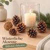 Tannenzapfen 1 kg ca. 50-70 Stk 5-6 cm Pinus nigra Produktbild-Vorschau 7