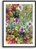 Gerahmtes Poster - Schwarzer Rahmen - blume sommer natur - Produktbild-Vorschau 1