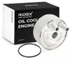 RIDEX 469O0031 Ölkühler Motoröl für NISSAN X-TRAIL (T30) Produktbild-Vorschau 1