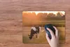 MuchoWow® Mauspad Mousepad Kuh - Sonne - Tiere 40x30 cm - Produktbild-Vorschau 3