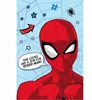 Spiderman Flauschdecke Schmusedecke Kuscheldecke 100 x 150 Produktbild-Vorschau 4