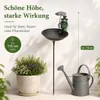 Vogeltränke mit Frosch aus Metall am Stab – Frosch mit Produktbild-Vorschau 4