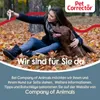 Pet Corrector per l'addestramento del cane. Aiuta a fermare Anteprima dell’immagine prodotto 8