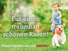 Substral DIE NACHSAAT Rasensamen 400 g Produktbild-Vorschau 7