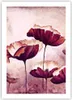 Poster - Poster ohne Rahmen - Mohn Blume Wiese - 50x70 cm - Produktbild-Vorschau 1
