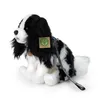 Peluche King Charles Spaniel Con Guinzaglio 27 Cm Eco-f. Anteprima dell’immagine prodotto 1