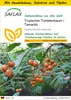 SAFLAX Anzucht Set - Tropischer Tomatenbaum / Tamarillo - Produktbild-Vorschau 1