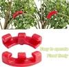 120 Stück Pflanzen Biegeclips für Wachstum Richtung Produktbild-Vorschau 2