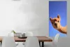 MuchoWow® Poster Alpaka - Braun - Blau 60x120 cm - Produktbild-Vorschau 2