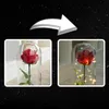 Ewige Rose unter Glas mit LED, rote Dekorationsrose, Produktbild-Vorschau 10
