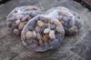 3 Kilo Flusssteine Dekosteine Zierkies Flusskiesel Produktbild-Vorschau 2
