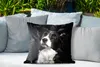 MuchoWow® Outdoor Kissen - Porträt eines Border Collie - Produktbild-Vorschau 4