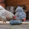 Beeztees Snackroller für Hühner, Futterspender, 22,5 x 6,5 Produktbild-Vorschau 6