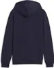 Puma Herren teamGOAL Casuals Hoodie - 658618, Produktbild-Vorschau 5