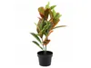 Umělá listnatá rostlina v květináči Ficus, 58 cm Náhled obrázku produktu 2