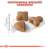 Royal Canin Sensible 33, Adult, 10 kg, Antioxidantien Produktbild-Vorschau 9