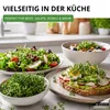 Gartenkresse Einfache Grüne Samen - Lepidium sativum - Produktbild-Vorschau 7