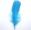 Plumes d'oie, env. 15-20 cm, 10 pièces, turquoise Voir les images du produit 1
