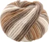 A ball of thick, multi-colored yarn in shades of beige, brown, and cream. Produktbild-Vorschau