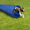 maxxpro Agility für den Hund Hundetunnel mit Erdnägeln 2M Produktbild-Vorschau 3