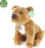Plüsch Staffordshire Bull Terrier Braun 30cm Eco-f. Produktbild-Vorschau 7