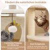 COSTWAY Arbre à chat petit, arbre à chat en bois, arbre à Voir les images du produit 7