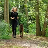 guinzaglio multifunzionale lionto, guinzaglio per cani Anteprima dell’immagine prodotto 11
