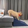 Petsona plac zabaw dla z piłkami dla psów, zwierząt, klin, Podgląd zdjęcia produktu 3