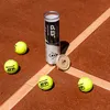 Dunlop Tb Atp Championship Confezione da 4 palline da Anteprima dell’immagine prodotto 2