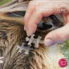 Puzzle 500 elementów. Odkrywca lasu 20265 Produktbild-Vorschau 5