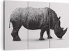 Bild auf Leinwand - Leinwandbild - Nashorn Tier Afrika Produktbild-Vorschau 1