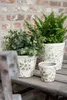 Clayre & Eef Blumentopf Ø 14x13 cm Grün Beige Keramik Produktbild-Vorschau 5